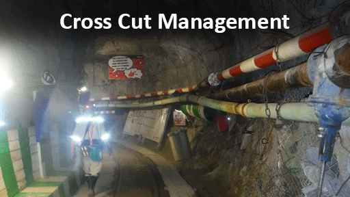 Cross Cut Management
